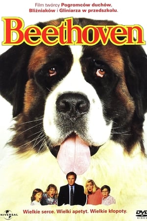 Watching Beethoven (1992)