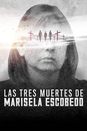 Le tre morti di Marisela Escobedo (2020)