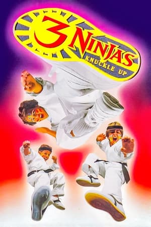 Три ниндзя: Костяшки вверх (1994)
