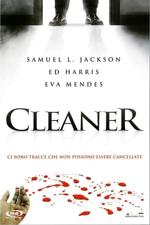 Play Online Cleaner (2007)