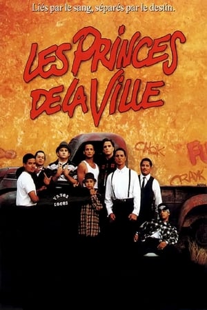 Watching Les Princes de la ville (1993)