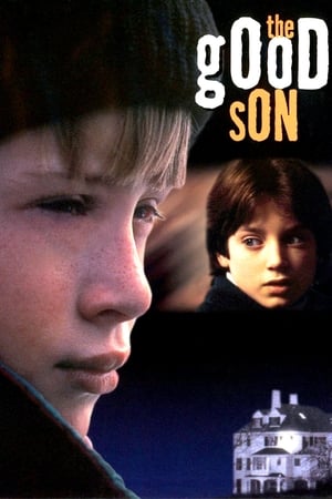 Streaming Добрый сынок (1993)