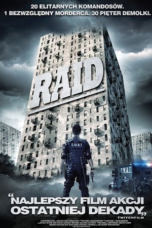 Watching Raid (2012)