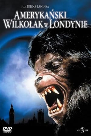 Play Online Amerykański wilkołak w Londynie (1981)
