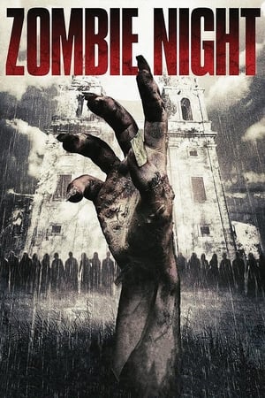 Play Online Zombie Night (2013)