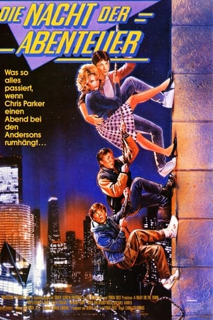 Die Nacht der Abenteuer (1987)