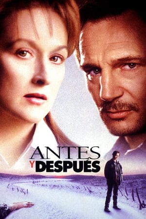 Watch Antes y después (1996)