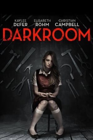 Watching Darkroom - Das Folterzimmer! (2013)