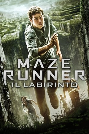 Streaming Maze Runner - Il labirinto (2014)