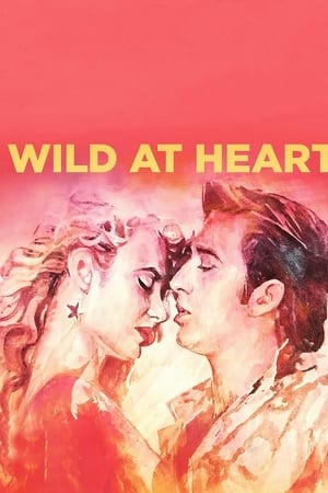 Watching Wild at Heart (1990)