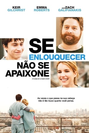 Streaming Se Enlouquecer, Não se Apaixone (2010)