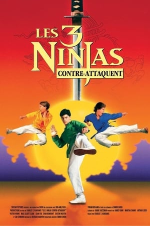 Ninja Kids 2 : Les 3 Ninjas contre-attaquent (1994)