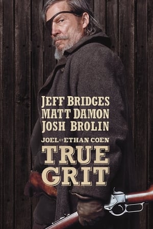 Watch True Grit (2010)