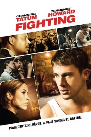 Watching Fighting (2009)