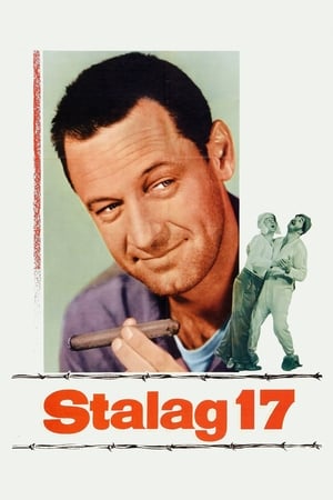 Watching Stalag 17 (1953)