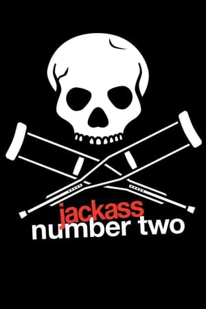 Watching Jackass: Nummer Zwei (2006)
