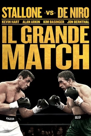 Streaming Il grande match (2013)