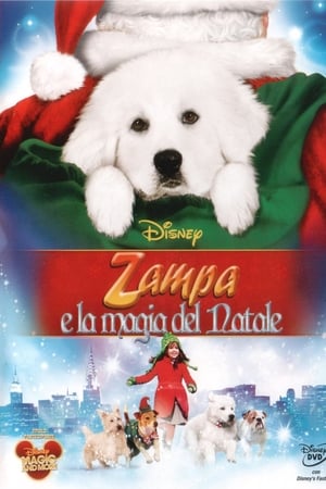 Streaming Zampa e la magia del Natale (2010)