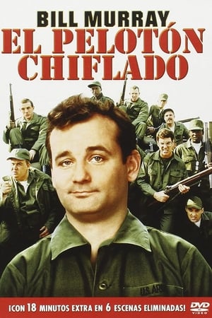 Watching El pelotón chiflado (1981)