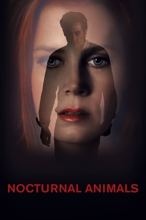 Streaming Nocturnal Animals (2016)