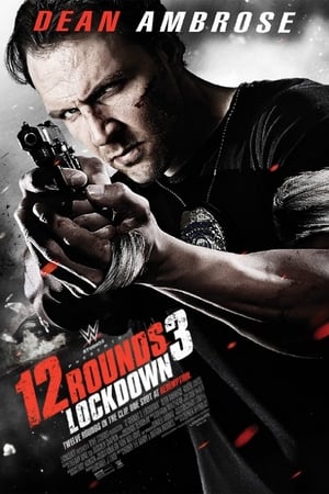 12 Rounds 3 : Lockdown (2015)