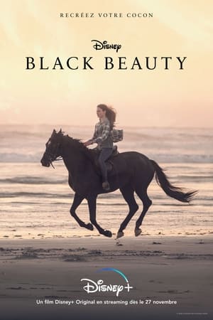 Black Beauty (2020)