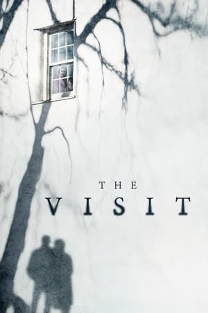 Watching The Visit (2015)