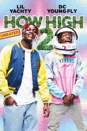 Streaming How High 2 (2019)