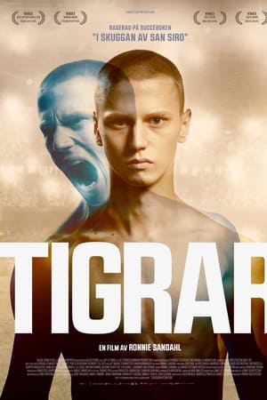 Watch Tigers (2021)