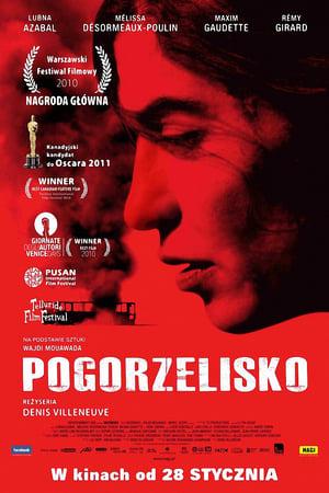 Stream Pogorzelisko (2010)