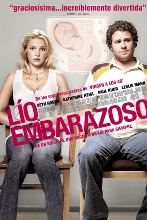 Lío embarazoso (2007)
