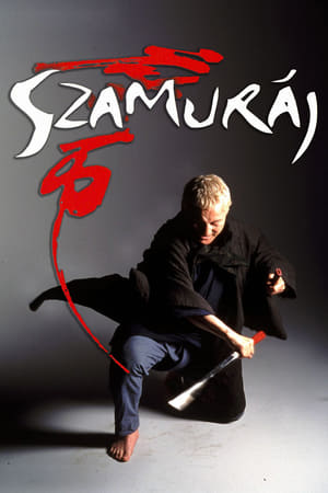 Play Online Zatoichi - Der blinde Samurai (2003)