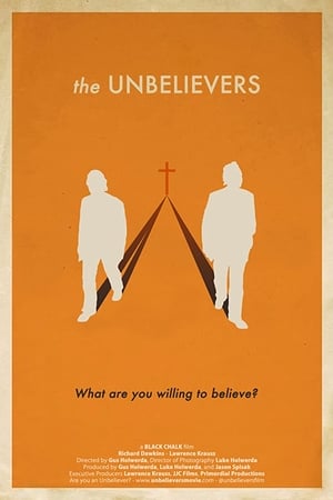 Watching The Unbelievers (2013)