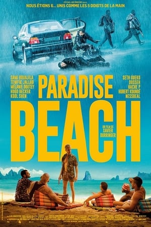 Stream Paradise Beach (2019)