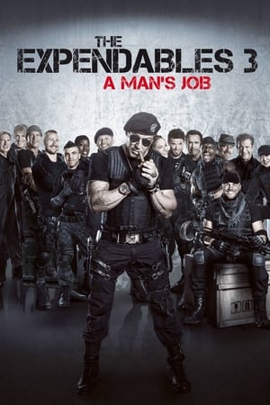 Watching The Expendables 3 (2014)