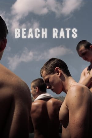 Watch Beach Rats (2017)