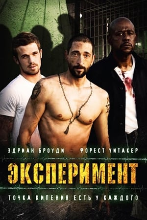 Эксперимент (2010)