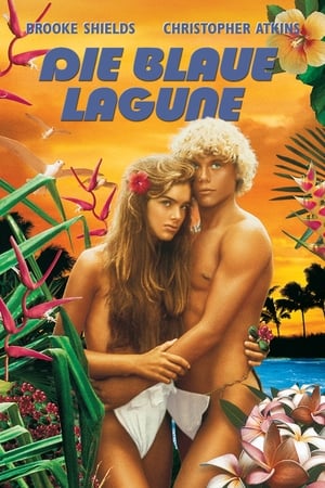 Watching Die blaue Lagune (1980)