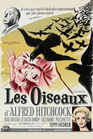 Watching Les Oiseaux (1963)