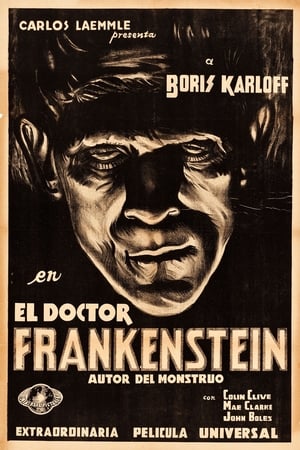 Stream El doctor Frankenstein (1931)