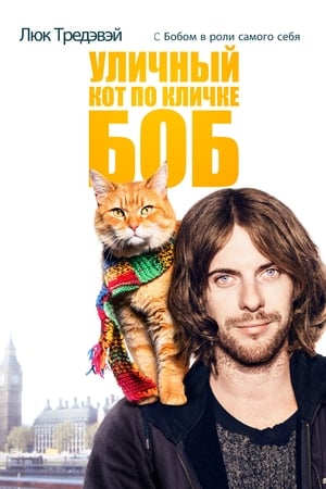 Watch Уличный кот по кличке Боб (2016)