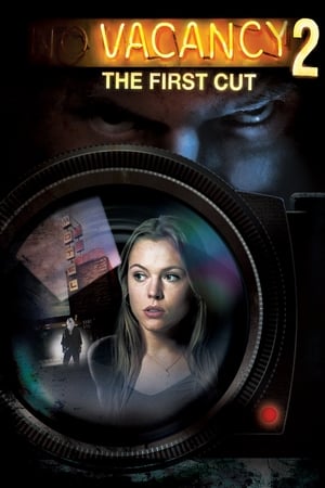 Stream Vacancy 2: The First Cut (2008)