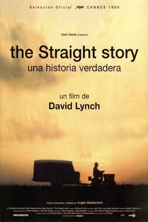 Una historia verdadera (1999)