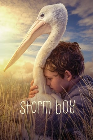Watching Storm Boy - Il ragazzo che sapeva volare (2019)