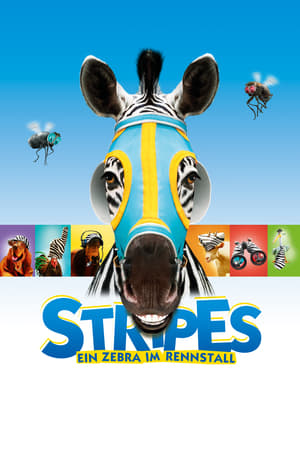 Streaming Im Rennstall ist das Zebra los (2005)