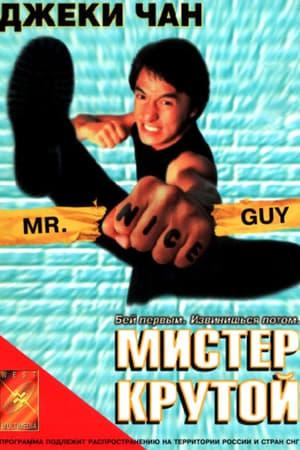 Watching Мистер Крутой (1997)