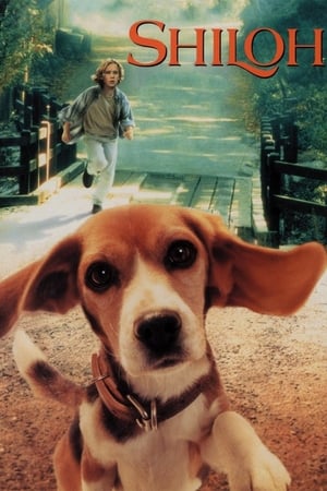 Watch Vier Pfoten auf der Flucht (1996)