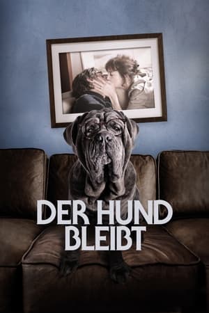 Streaming Der Hund bleibt (2019)
