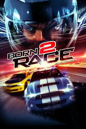 Born to Race : Fast Track (2014)