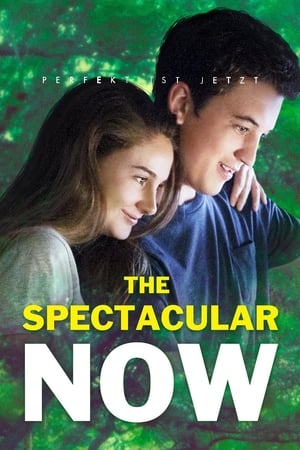Play Online The Spectacular Now (2013)